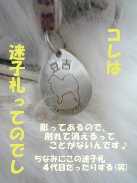 e0176159_1837771.jpg