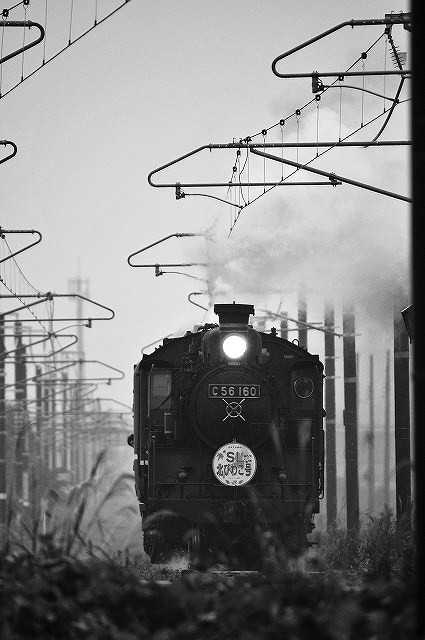 c0173762_2040437.jpg