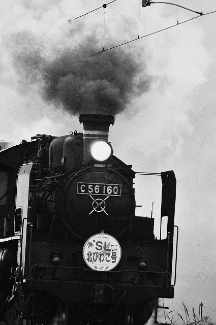 c0173762_2041344.jpg