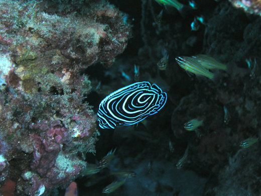 b0062363_18495120.jpg