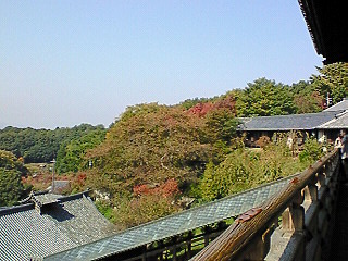 d0045063_23235067.jpg