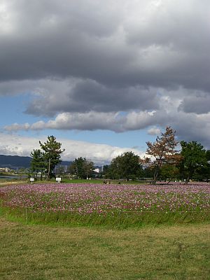 e0143671_9495019.jpg