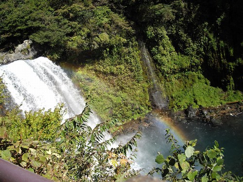 e0004173_1858283.jpg