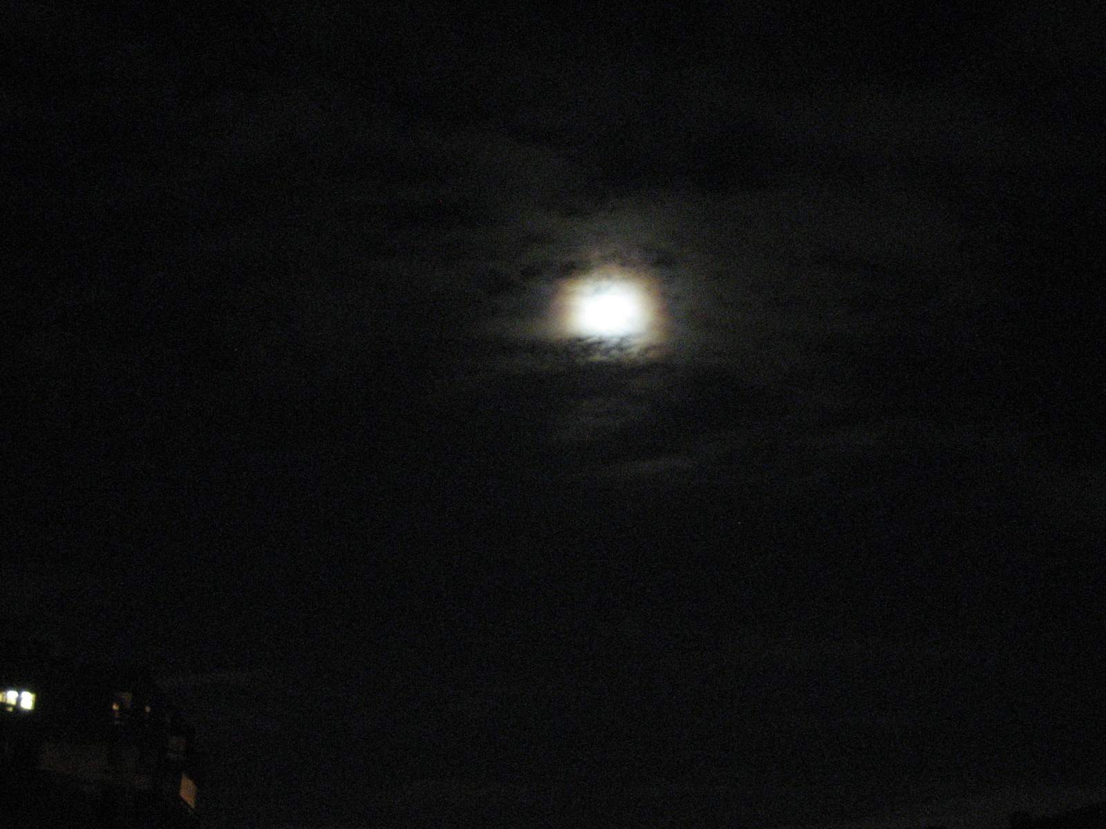 a0104474_982498.jpg
