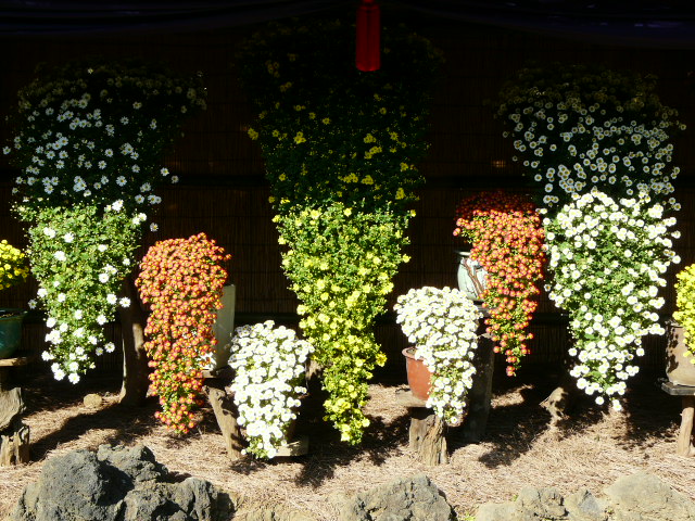 e0145782_18382667.jpg