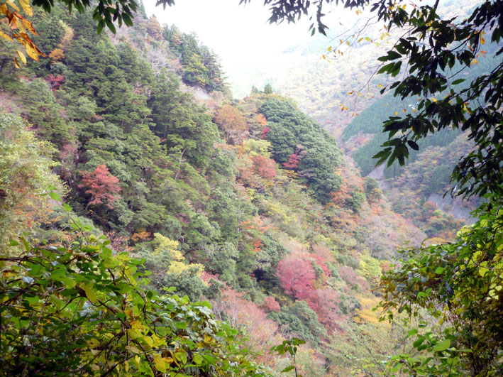 c0125283_16504993.jpg