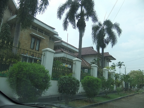 c0175883_207083.jpg