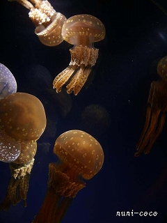 c0221784_21173069.jpg