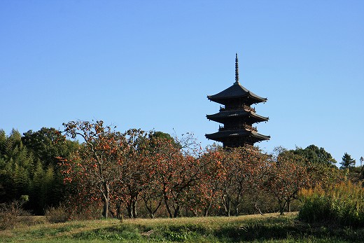 e0190885_1949492.jpg