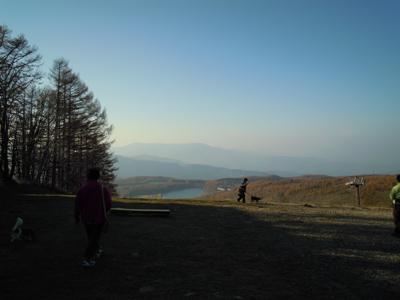 d0044986_7344882.jpg