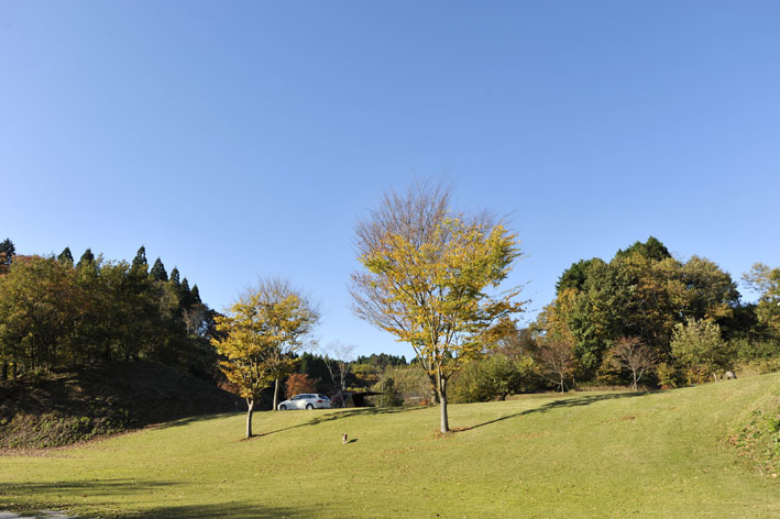 f0112087_17121490.jpg