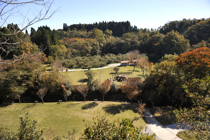 f0112087_18183865.jpg
