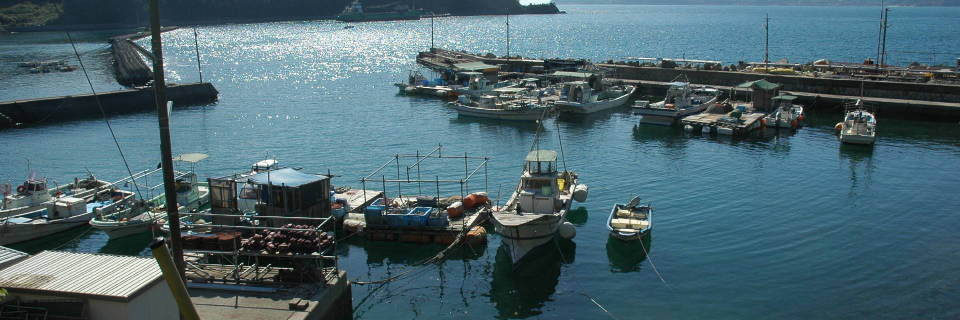 c0170789_12474712.jpg
