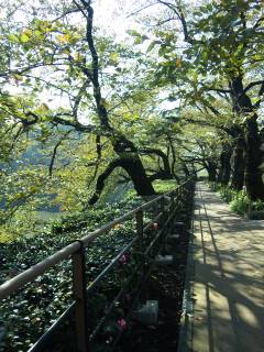 f0024291_950338.jpg