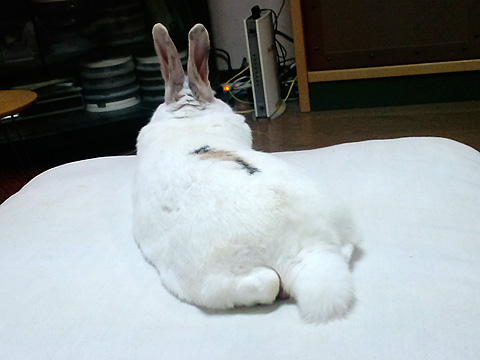 f0201191_12514138.jpg