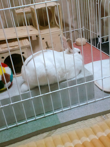 f0201191_1254157.jpg