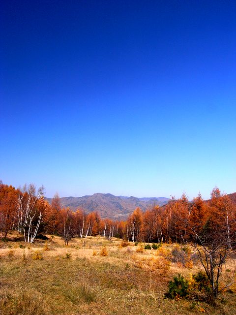 a0093592_072374.jpg