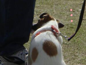 c0191597_231895.jpg