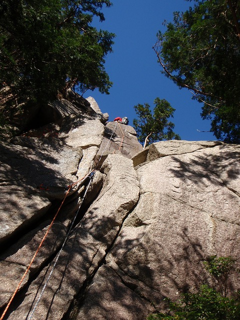 c0147398_1512265.jpg