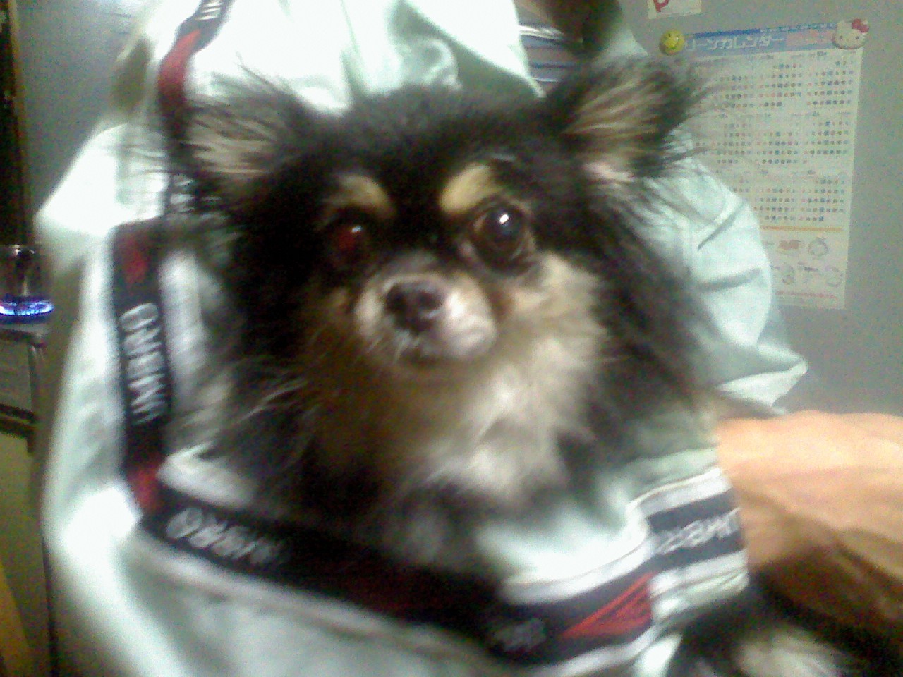 a0133999_23252255.jpg