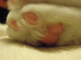 c0035001_13582489.jpg