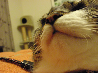 c0035001_140750.jpg