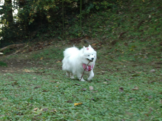 e0018604_14375597.jpg