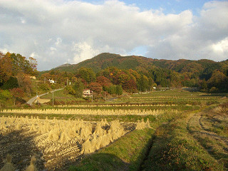 b0168412_17172426.jpg