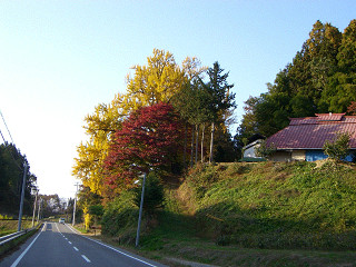 b0168412_1774416.jpg