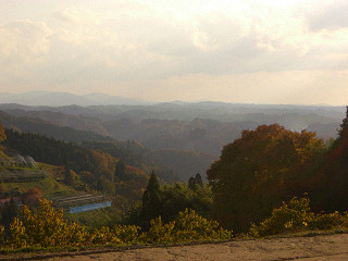 b0168412_1795293.jpg