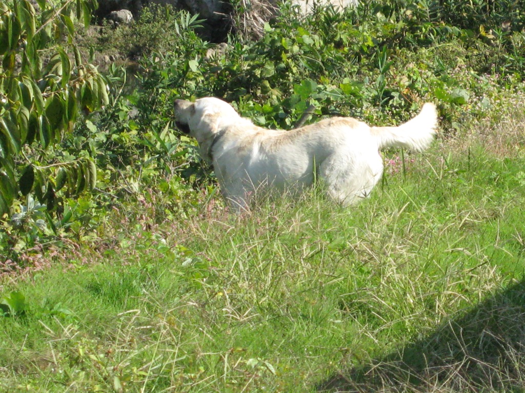 f0017712_1453054.jpg
