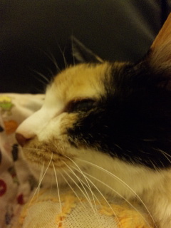 c0201113_20261735.jpg