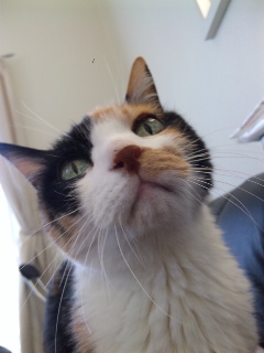 c0201113_22203472.jpg