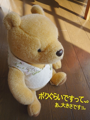 b0181615_13354513.jpg