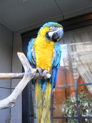 e0148120_2032513.jpg
