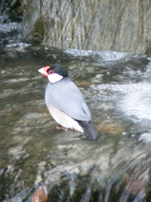 e0148120_2033212.jpg