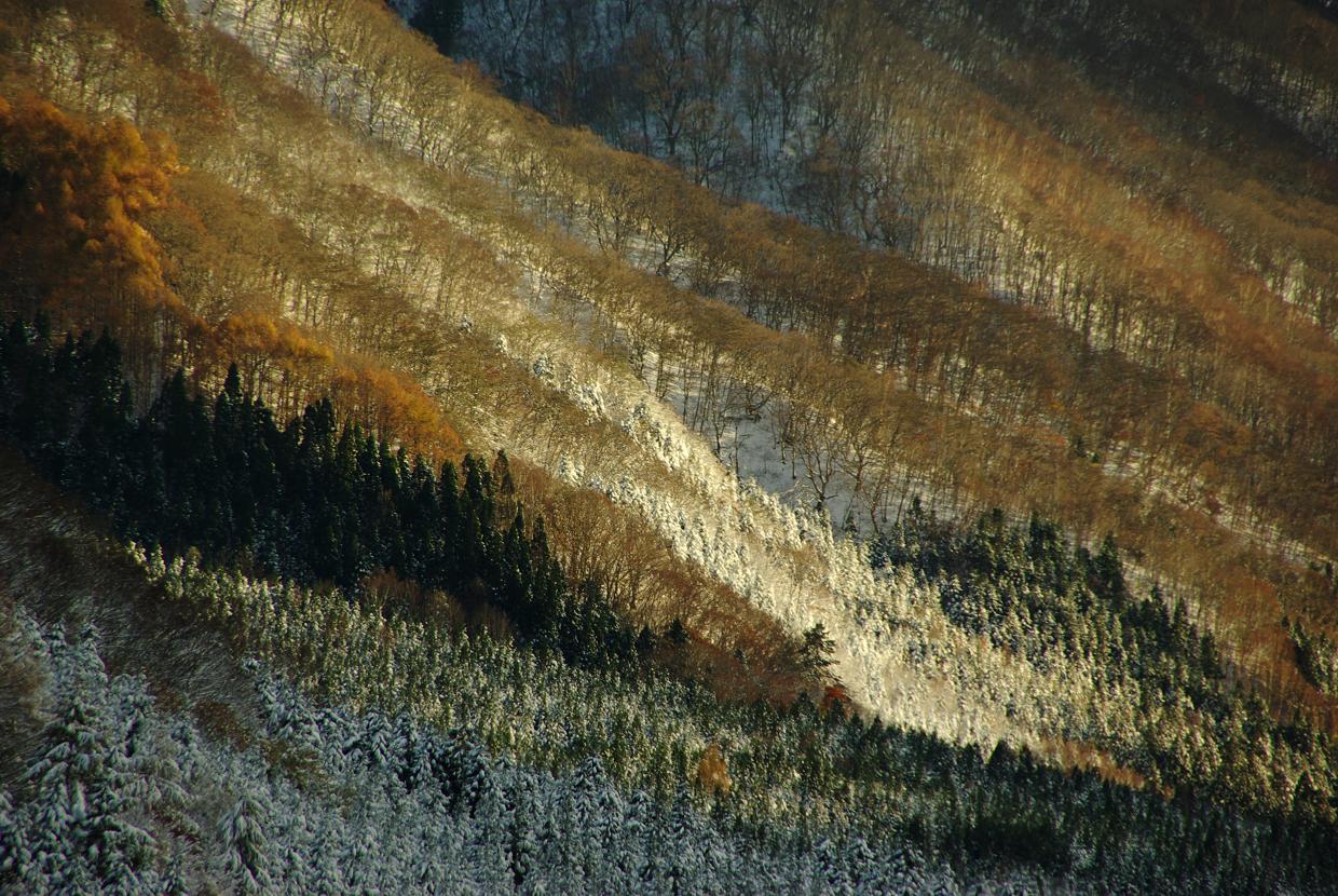 b0062024_736099.jpg