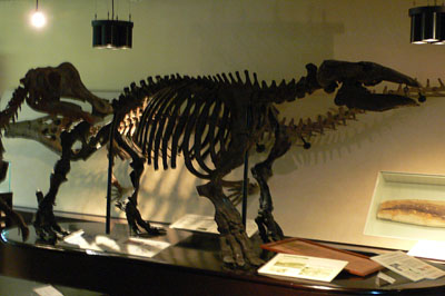 a0046429_21493445.jpg