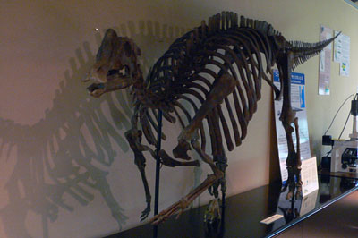 a0046429_21494960.jpg