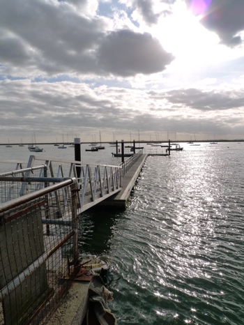 f0165831_8434553.jpg