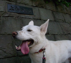 a0117039_0502091.jpg
