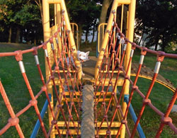 a0117039_171250.jpg