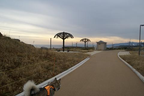 e0143442_11222745.jpg