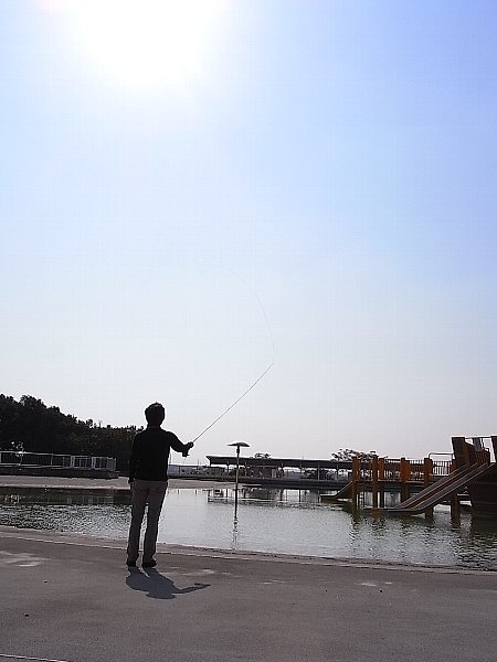 b0165444_2014616.jpg