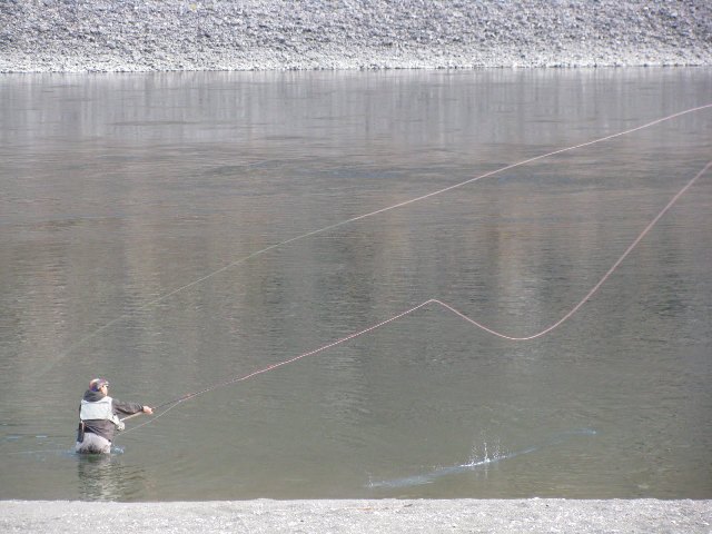 f0084544_1315370.jpg