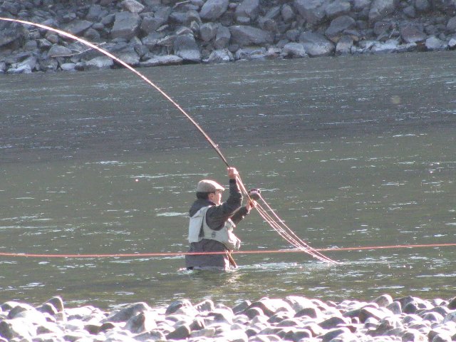 f0084544_1383488.jpg