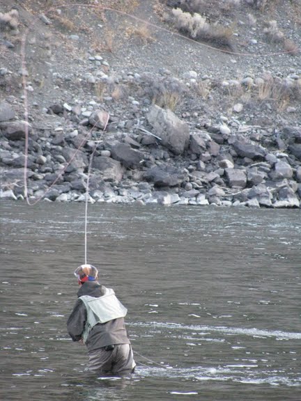 f0084544_1385323.jpg