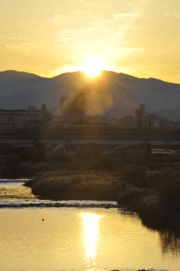 c0093046_8505242.gif