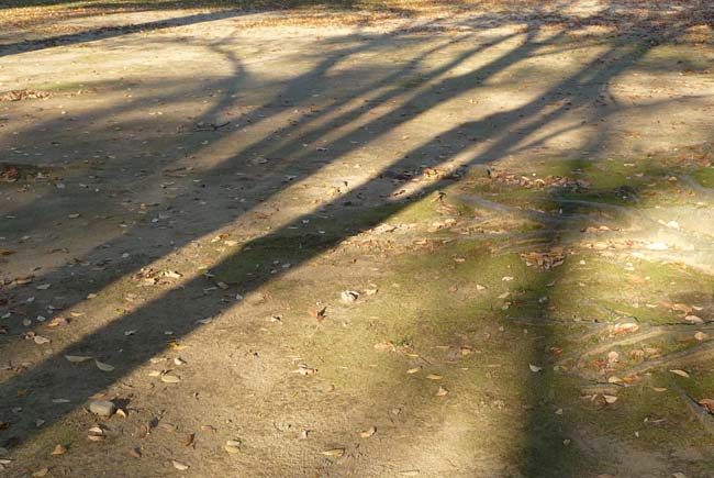 e0002850_1947287.jpg