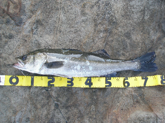 f0150151_13231630.jpg